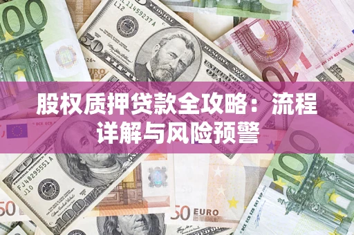 济南股权质押贷款全攻略：流程详解与风险预警