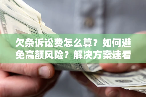 济南欠条诉讼费怎么算？如何避免高额风险？解决方案速看！