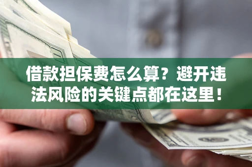 济南借款担保费怎么算？避开违法风险的关键点都在这里！