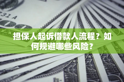 济南担保人起诉借款人流程？如何规避哪些风险？