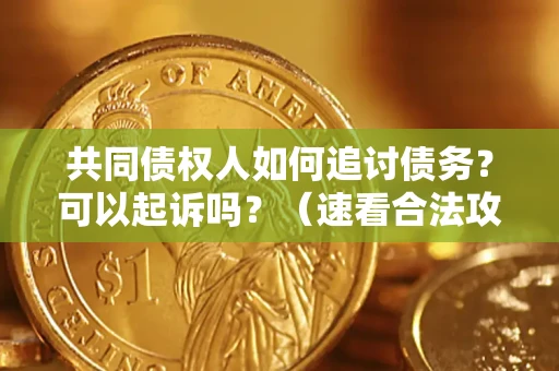 济南共同债权人如何追讨债务？可以起诉吗？（速看合法攻略）