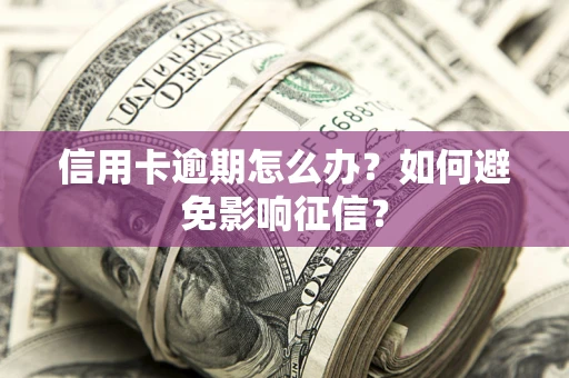 济南信用卡逾期怎么办？如何避免影响征信？