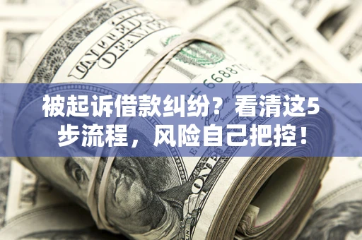 济南被起诉借款纠纷？看清这5步流程，风险自己把控！